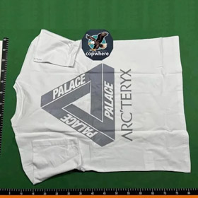 Arcteryx PALACE joint series printed retro short-sleeved T-shirt (25 styles) -2753  